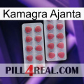 Kamagra Ajanta 19